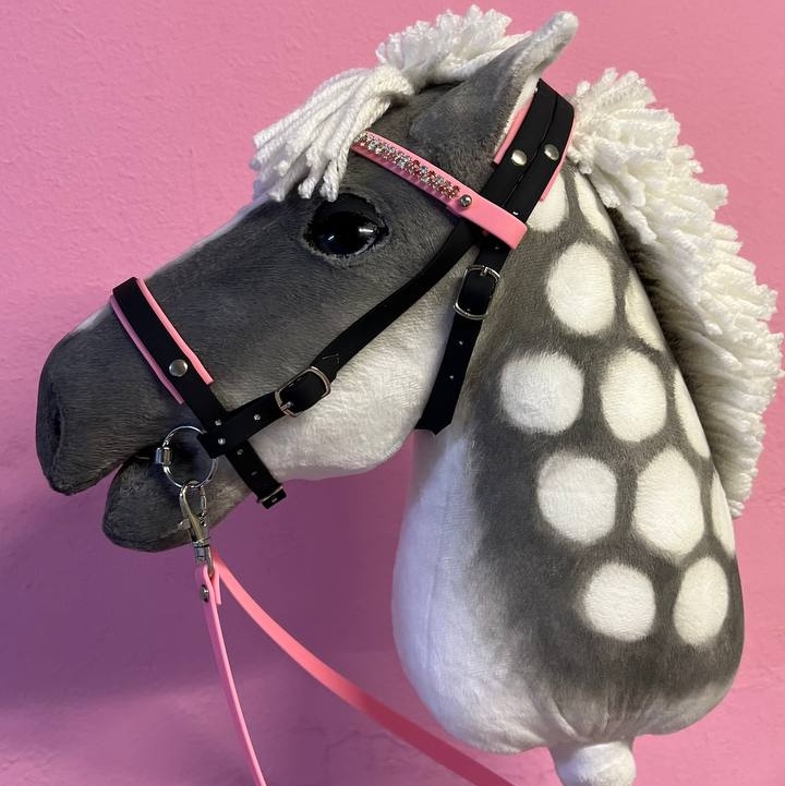 Hobbyhorse riding action